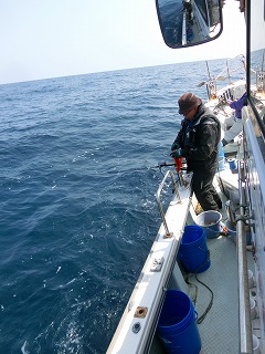 第二清洋丸 釣果