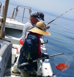 第二清洋丸 釣果