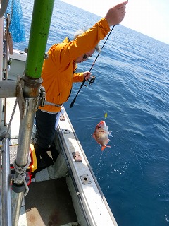 第二清洋丸 釣果