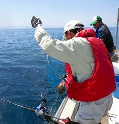 第二清洋丸 釣果