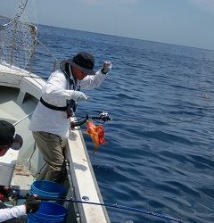 第二清洋丸 釣果