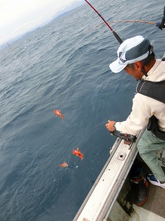 第二清洋丸 釣果