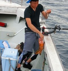 第二清洋丸 釣果