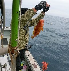 第二清洋丸 釣果