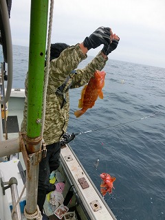 第二清洋丸 釣果