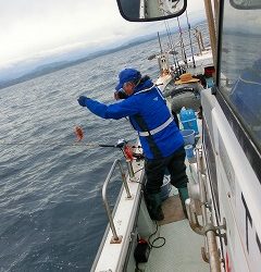 第二清洋丸 釣果