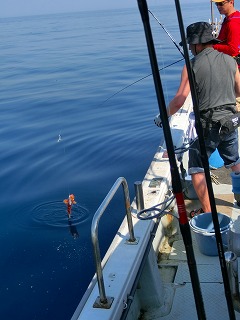 第二清洋丸 釣果