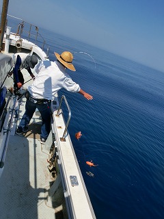 第二清洋丸 釣果