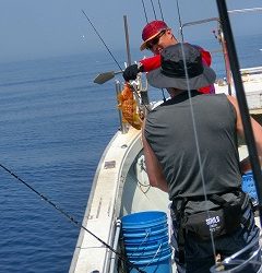 第二清洋丸 釣果