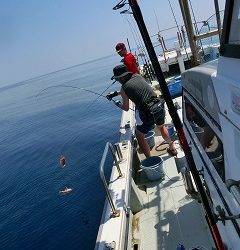 第二清洋丸 釣果