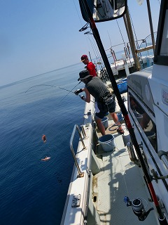 第二清洋丸 釣果