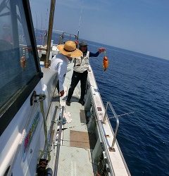 第二清洋丸 釣果