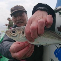 中山丸 釣果