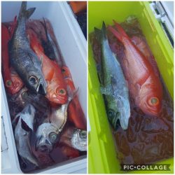 もと明丸 釣果
