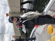 ＮＡＧＡＳＨＩＭA ＭＡＲＵ（永島丸） 釣果