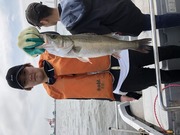 ＮＡＧＡＳＨＩＭA ＭＡＲＵ（永島丸） 釣果