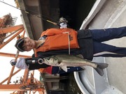 ＮＡＧＡＳＨＩＭA ＭＡＲＵ（永島丸） 釣果