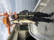 NAGASHIMA MARU(永島丸) 釣果