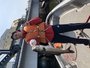 ＮＡＧＡＳＨＩＭA ＭＡＲＵ（永島丸） 釣果