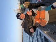 NAGASHIMA MARU(永島丸) 釣果