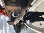 ＮＡＧＡＳＨＩＭA ＭＡＲＵ（永島丸） 釣…