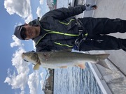 NAGASHIMA MARU(永島丸) 釣果