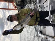 ＮＡＧＡＳＨＩＭA ＭＡＲＵ（永島丸） 釣果