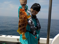 釣船 キティ 釣果