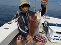 釣船　キティ 釣果