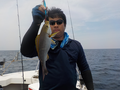 釣船 キティ 釣果