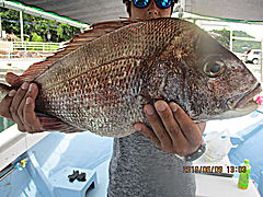 遊漁船 未紗奈 釣果