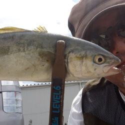 キャスト毎に異なるフォールは奥深い！【ルミカ（LUMICA）メタルジャッカーマイクロインプレッション】