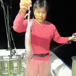 ジギング船 BLUEWATER 釣果