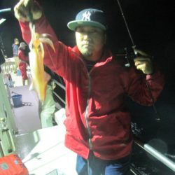 ジギング船 BLUEWATER 釣果