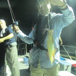 ジギング船 BLUEWATER 釣果