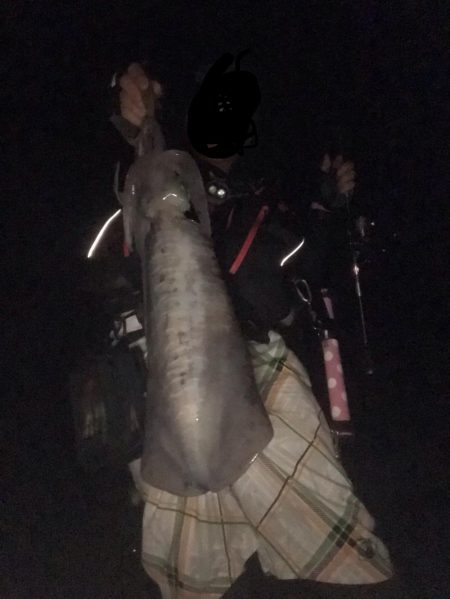 春イカ終盤っぽい中紀でキロアップのアオリイカゲット