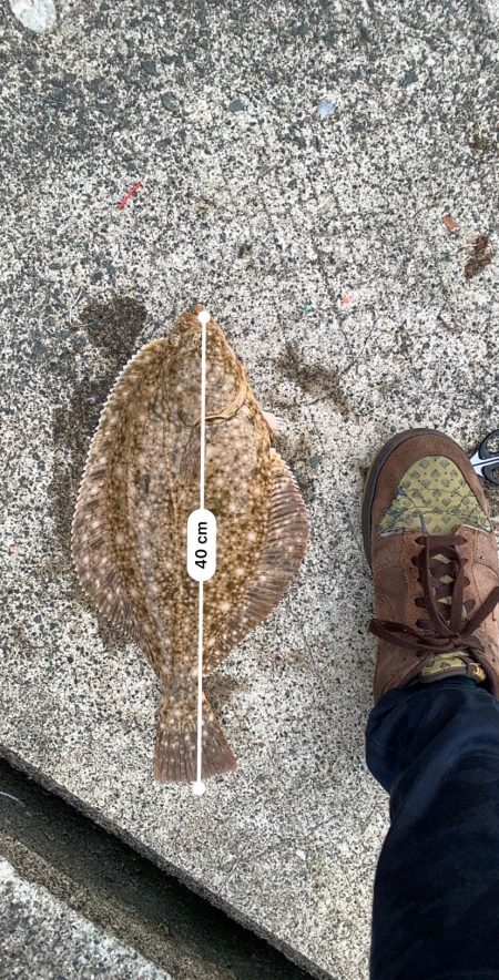 まさかのイシガレイ(^^)