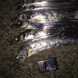 タチウオF3〜4.5本 たくさん釣れた