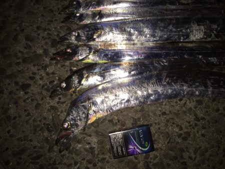 タチウオF3〜4.5本 たくさん釣れた