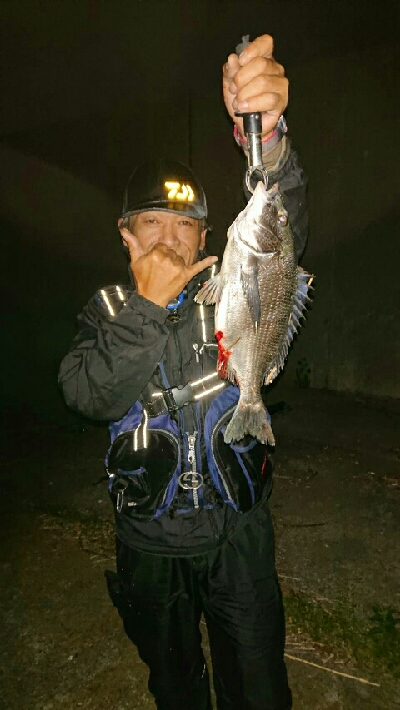 バイブレーションにて チヌ ゲット