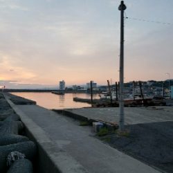 アジ探しにいきました