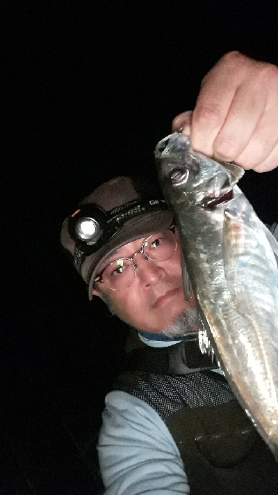 釣り友さんたちと淡路島
