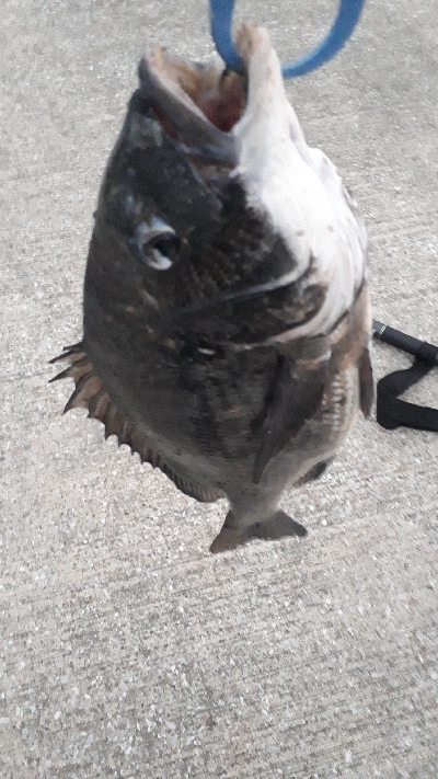 トップチニング