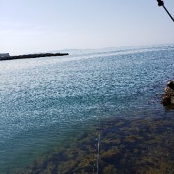 キス狙いです。