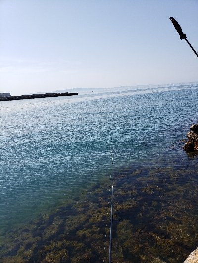 キス狙いです。