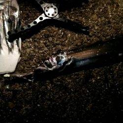 久しぶりのテンヤ