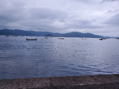 アオリイカを求めて…