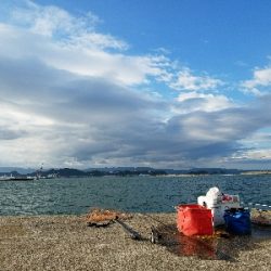 キス釣り　～夕方のアジ～