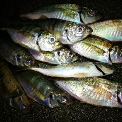 カミナリ前から