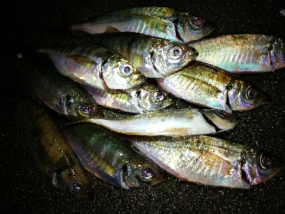 カミナリ前から